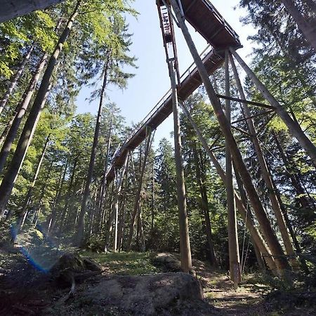 Cozy I Blockhuette Im Nationalpark I Ferienwohnung ノイライヒェナウ エクステリア 写真