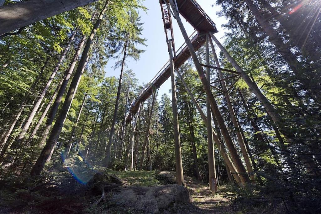 Cozy I Blockhuette Im Nationalpark I Ferienwohnung ノイライヒェナウ エクステリア 写真