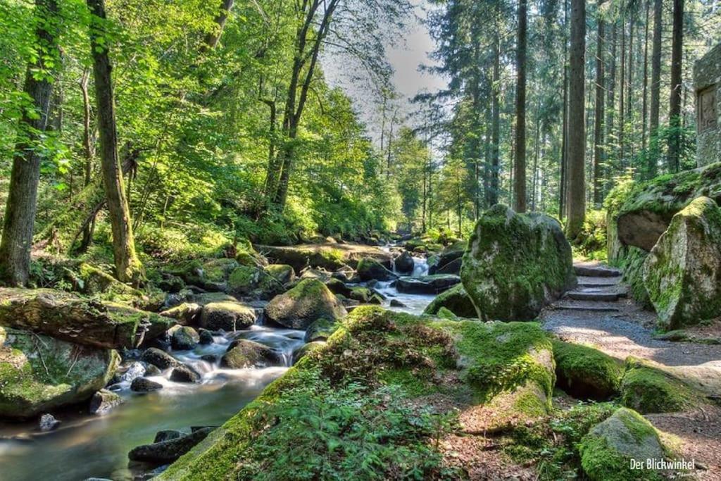 Cozy I Blockhuette Im Nationalpark I Ferienwohnung ノイライヒェナウ エクステリア 写真