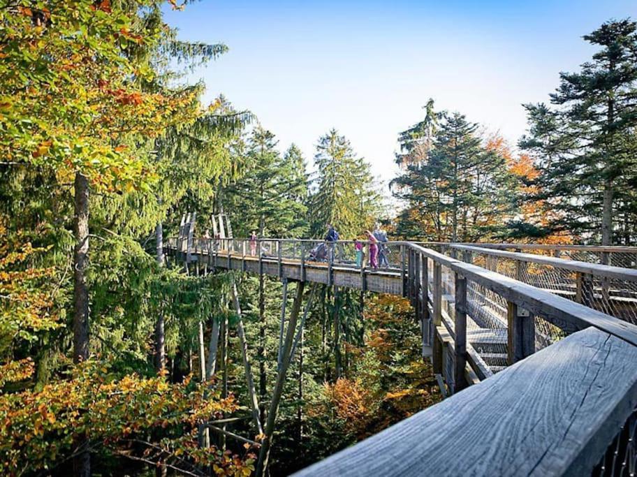 Cozy I Blockhuette Im Nationalpark I Ferienwohnung ノイライヒェナウ エクステリア 写真